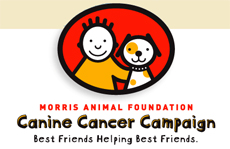 Morris Animal Foundation