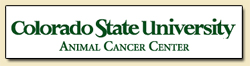 CSU Animal Cancer Center