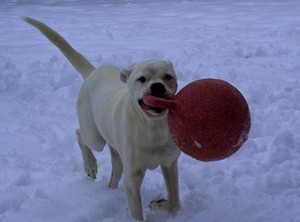 Cain red rubber ball