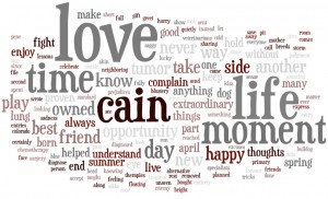 Cain Wordle