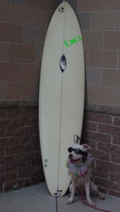 Zoey, Surf Dog Ricochet, canine cancer, Chase Away K9 Cancer, Surf Dog Surf City, Huntington Beach