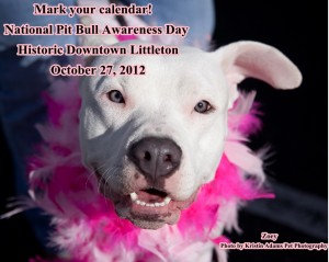 zoey, colorado state university animal cancer center,  pit bull awareness day, canine cancer