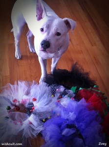 Pile of Tutus