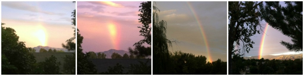 rainbowform.jpg